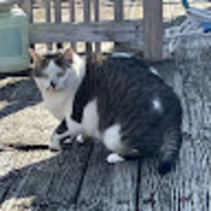 Meet your Posher, Layla